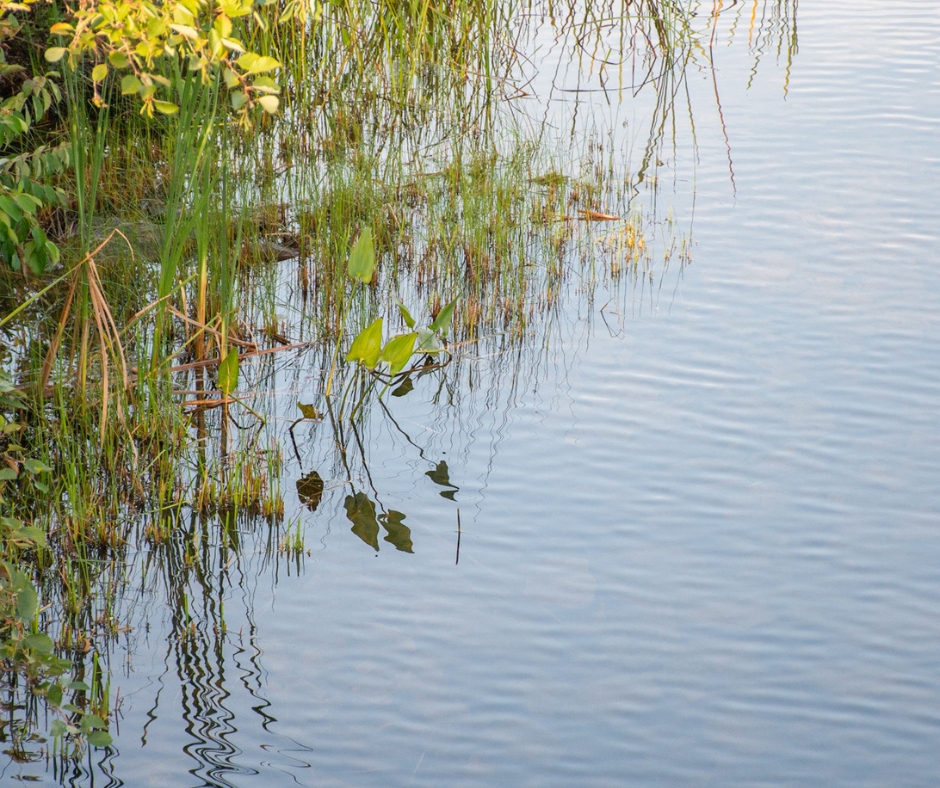 Golden Lake